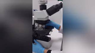 Urinanalysis Part 2 Learn urine microscopy in 5 minuteslaboratory mltclasses [upl. by Medovich]