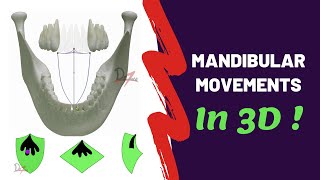 Mandibular Movements in 3D  SUPER EASY [upl. by Amilah]