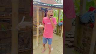 কোন বিপদ থেকে বাঁচালাম 😭🙏 কী ছিল পাখির খাবারে 😱 vlog minivlog comedy funny fun birds [upl. by Bianka308]