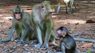 Amazing Eating And Playing In The Morning  Anna Group [upl. by Suoiradal]