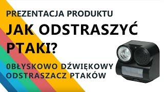 Jak odstraszyć ptaki Odstraszacz ptaków Birdchaser 2 Błyskowo dźwiękowy [upl. by Aihsila]