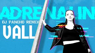 VALL  ADRENALIN  АДРЕНАЛИН DJ PANCHO REMIX OFFICIAL 2023 VISUALIZER [upl. by Seyah]