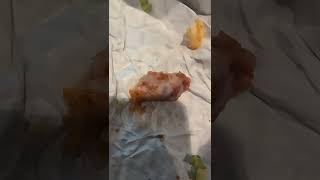 found this in my KFC zinger sandwich cartilage I think masonville mall London Ontario Canada [upl. by Jerol]