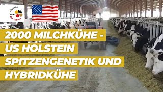 2000 Milchkühe  USHolstein Spitzengenetik und Hybridkühe  unser Video zur EuroTier aus den USA [upl. by Phionna982]