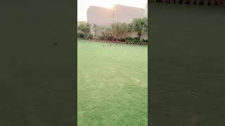 Falettis Hotel Lahore Natures Luxury Garden Bliss Green Retreat PicturePerfect View [upl. by Sheeree]