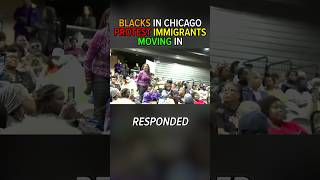 Blacks In Chicago Protest Immigrants [upl. by Knoll848]