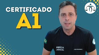 O certificado A1 serve para os TRIBUNAIS [upl. by Novyar]