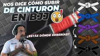 79 ¡Lo que realmente define a cada cinturón en BJJ  ¿Te identificas con el tuyo [upl. by Aiciles]