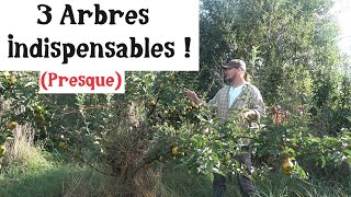 3 Arbres indispensables au jardin  presque [upl. by Waldos675]