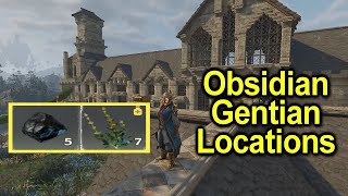 Obsidian and Gentian locations  Enshrouded [upl. by Corbin11]