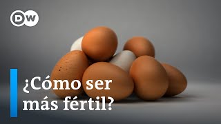 6 consejos para mejorar la fertilidad femenina [upl. by Maretz]