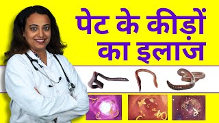 Intestinal Worms Treatment  Pet me Kide ka Ilaj Kaise Kare [upl. by Ahseital]