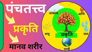 पंचतत्व से बनायें स्वस्थ जीवन  free Reiki course 5elements bpasreikiclinic [upl. by Elleiand77]