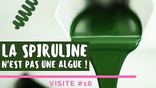 Produire de la Spiruline étape par étape  Partie 12  Rencontre SOSpiruline 16 [upl. by Acysej]