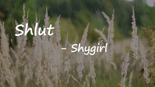 Shygirl – Shlut Lyrics [upl. by Schulman]