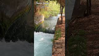 Banias Springs  ISRAEL  YouTube shorts HPMCHURCH [upl. by Hamid785]