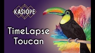 TimeLapse Toucan [upl. by Lachlan224]