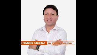 HOMERO MEDINA  Gatito Run Run primicia 2024 [upl. by Agan]