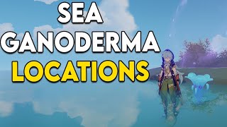 Where to farm Sea Ganoderma in Genshin Impact  Sea Ganoderma spawn locations after update 20 [upl. by Mosera930]