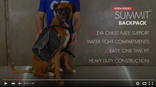 How to fit a Dog Backpack  EzyDog Summit Backpack [upl. by Katleen]