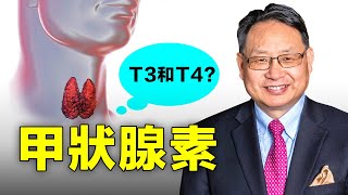 【四維健康】甲狀腺素問題導致甲亢、甲低？甲狀腺功能不足，補充T3還是T4？ [upl. by Man]