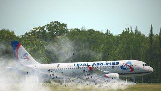 Novosibirsk Russia Plane Crash Ural Airlines A320 Emergency Landing in a Wheat Field Sochi Omsk [upl. by Netsruk]