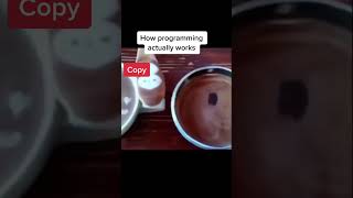 How programming actually worksprogrammingmemes shorts viral [upl. by Merton489]