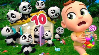 Counting 10 Little Pandas  Lalafun Nursery Rhymes amp Kids Songs [upl. by Goulet]