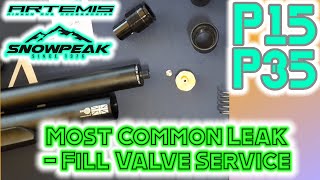 P15 amp P35 Most Common Leak Fix  Inlet Fill Valve [upl. by Latreece]