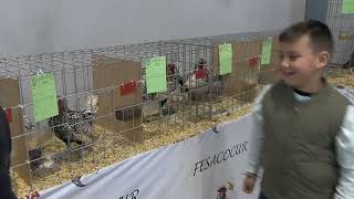 VÍDEO EXPOSICIÓN GALLINAS SUREÑAS 300123 NOT8 [upl. by Nylidnarb]