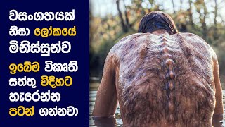 🎬 ඇනිමල් Kingdom  Movie Review Sinhala  Movie Explanation Sinhala  Sinhala Movie Review ආදරය [upl. by Enialahs]