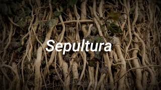 Sepultura  Roots Bloody Roots  Subtitulada al Español [upl. by Naegem638]