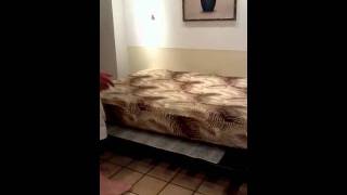 1004 Changing the futon from sofa to bed and back [upl. by Hennie316]