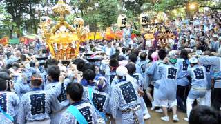 平成23年 目黒・碑文谷八幡宮例大祭 連合宮入＝南一・原町西・洗足北 [upl. by Bentlee]