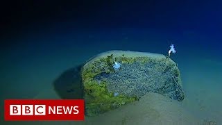 Mariana Trench Recordbreaking journey to the bottom of the ocean  BBC News [upl. by Aener172]