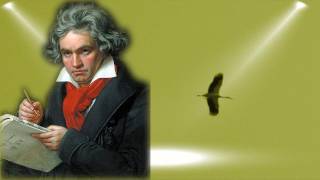 Beethoven  Symphony No 5  Symphonie Nr 5 Ludwig van Beethoven  5th Symphony [upl. by Nitsirt]