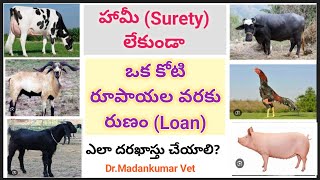 Loan upto 1crore without surety  Stand Up India  also to Dairy Poulry Sheep  Dr Madankumar Vet [upl. by Bernette]