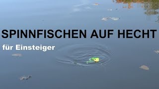 Ran an den Hecht Spinnfischen auf Hecht für Einsteiger [upl. by Christabella]