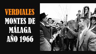 Verdiales de los Montes de Málaga año 1966 [upl. by Tannenbaum]