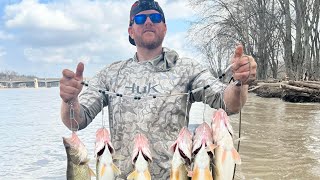 maumee river walleye run 2024 walleyefishing alumacraft maumeeriver mercurymarine [upl. by Sucirdor]