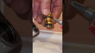 A pro plumber shows how to replace a sink faucet top faucet interior diyplumbing [upl. by Nhojleahcim]