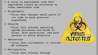 Computer Virus Types Explained  Polymorphic Stealth Retrovirus Multipartite [upl. by Anidene]