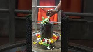 Karthika Masam Day6 abhishekam Shortsong tending [upl. by Ynnus]