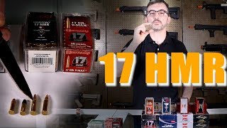 Munição Calibre 17hmr  Sua história e comparação com a 22LR [upl. by Hirasuna]