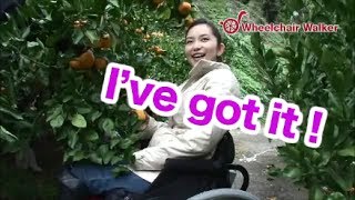 Wheelchair Walker ENG ver Mandarin Picking [upl. by Cilo]