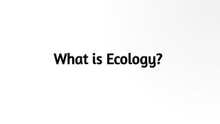 What is Ecology [upl. by Nawuq]