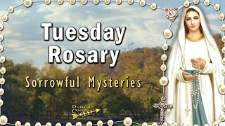 TODAY HOLY ROSARY Tuesday 🙏 Sorrowful Mysteries Rosary NOVEMBER 12 2024 Dogwood Canyon Branson MO [upl. by Jeramie]