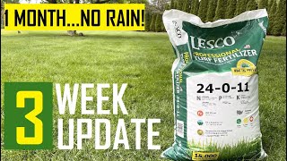 Lesco 24011 with Iron  3 Week Review  Late Spring Fertilizer  2nd Fertilizer Application [upl. by Grishilde]