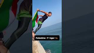 Palestine 🇵🇸 tiger 🐅 gaza shorts viralvideo [upl. by Eerized509]