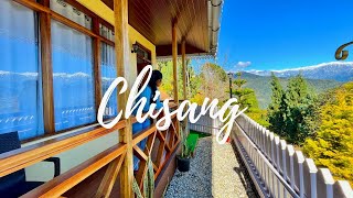 The Wildwoods Homestay Chisang  Offbeat Place in Kalimpong North Bengal SayelsStories [upl. by Natanhoj]